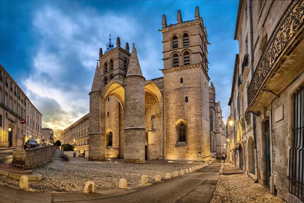 Studio Au Coeur Historique De Montpellier, 2 Personnes Et Wifi Ngoại thất bức ảnh